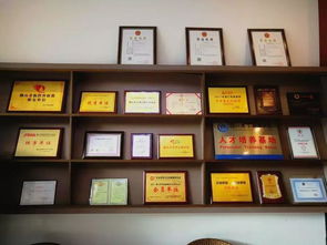 中越股份 企業一站式服務專家，引領計算機信息化時代