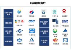 雙百行動咨詢服務(wù)產(chǎn)品手冊 賦能國企改革，驅(qū)動價(jià)值提升